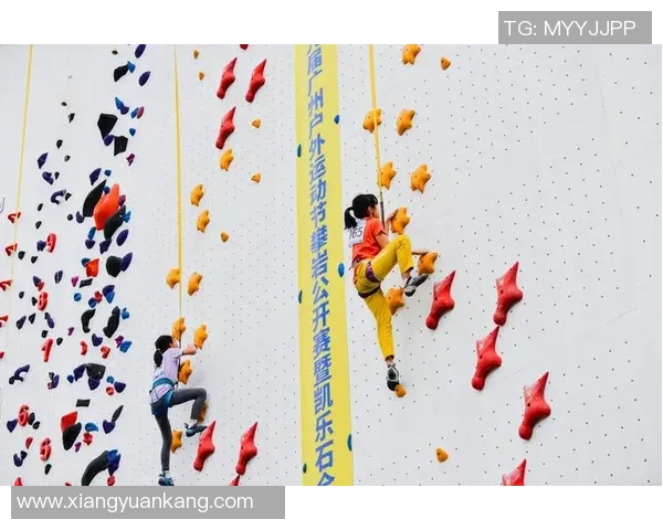 杭州攀岩队夺冠最新攀岩比赛经验分享TOP10解析 杭州攀岩队夺冠最新攀岩比赛经验分享TOP10解析