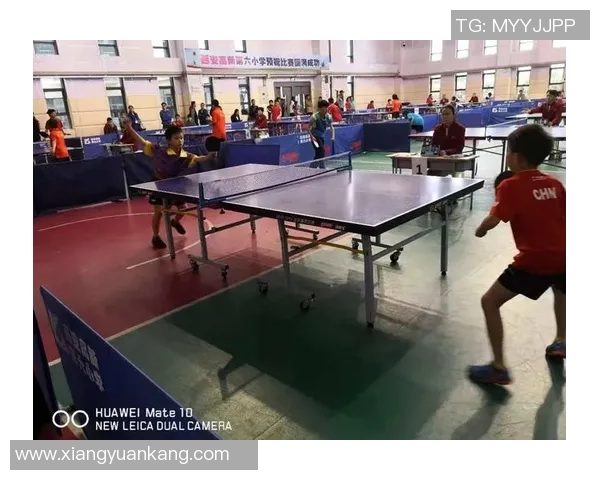 西安乒乓球队整体压制表现分析与得失总结 西安乒乓球队整体压制表现分析与得失总结