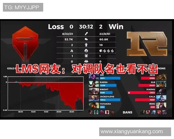 赛后复盘：RNG与TES对决中的战术分析与经验总结