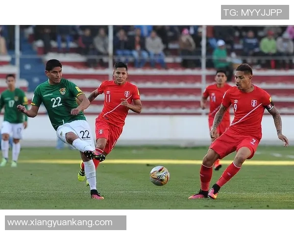 乌拉圭与日本足球赛精彩直播全程回顾与分析