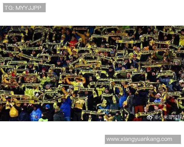 多特蒙德球迷骚乱引发欧冠禁赛三场及50万欧元罚款